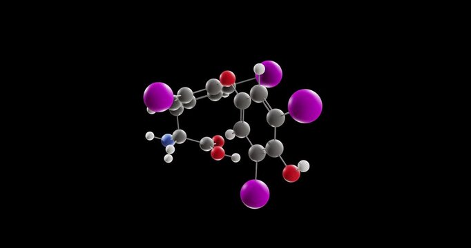Dextrothyroxine molecule, rotating 3D model of hypolipidemic agents, looped video on a black background
