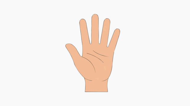 Open palm hand showing five fingers and palm lines isolated on white background