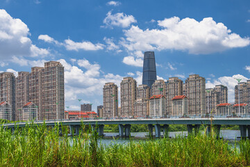 Urban Skyline and Modern Bridge Landscape with High-Rise Buildings and Greenery Under a Blue Sky © Dong