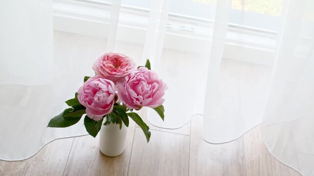 Peony flowers stand in a vase by the window. Wind blows through the open window in the room. Waving white tulle near the window. Product presentation, mockup for advertising. High quality 4k footage