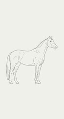 Fototapeta premium Minimalist Horse Outline Drawing on Light Beige Background
