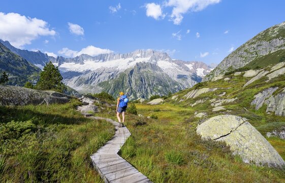 Female mountaineer on wooden plank path through mountain moor, in front of picturesque mountain scenery, Dammastock and Damma glaciers, G&ouml;scheneralp, Canton of Uri, Switzerland