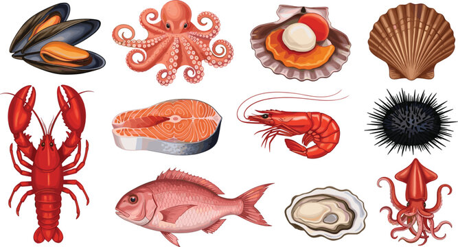 Realistic seafood collection. Lobster, shrimp, salmon, octopus, squid, oysters, mussels, scallops, and sea urchin. High-detail vector illustrations for culinary, menu, and food projects.