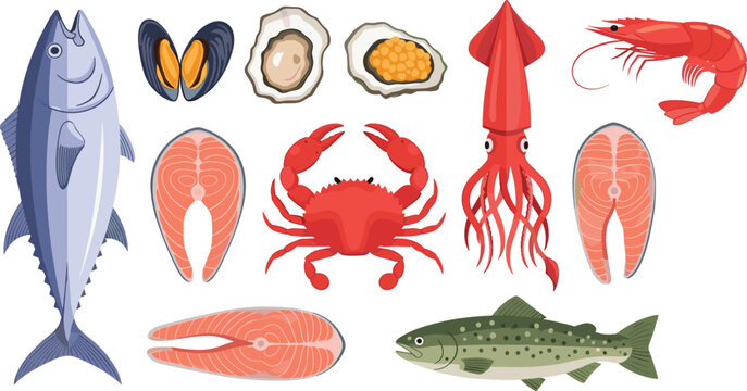 Fresh seafood collection. Tuna, salmon, crab, shrimp, squid, and oysters. High-quality vector illustrations of fish and shellfish for cooking, menu design, and food projects.