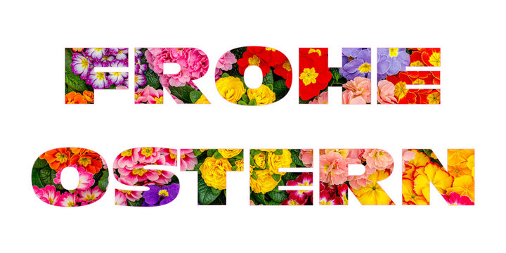 German text Happy Easter. Celebrating Easter with colorful flowers in the foreground and festive letters conveying joy and springtime spirit