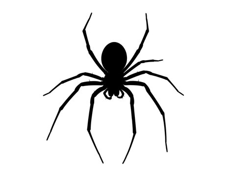 A simple, black silhouette of an arachnid with eight legs and a rounded body against a stark white background