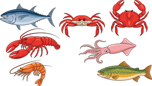 Seafood vector set with fish. Red lobster, crab, and fresh tuna icons. Squid, shrimp, and trout isolated on white background for restaurant menu design.