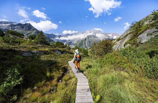 Mountaineers on wooden plank trail through mountain moor, in front of picturesque mountain scenery, Dammastock and Damma glaciers, G&ouml;scheneralp, Canton of Uri, Switzerland