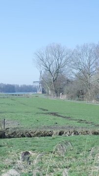 Traditional dutch windmill in a beautiful polder landscape