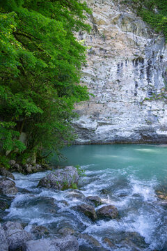 Fragment of the Blue Lake, Ricin National Park. Republic of Abkhazia (vertical)