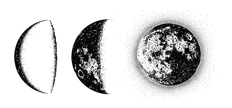 Detailed moon phases illustration showing crescent and full moon surfaces in vintage style.