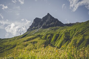 Fototapeta premium Majestic Peak of Großer Widderstein Mountain with Alpine Grasses in Bregenzerwald, Austria
