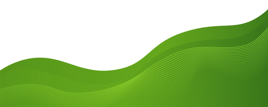 Abstract green wave background with elegant flowing lines. Vector illustration