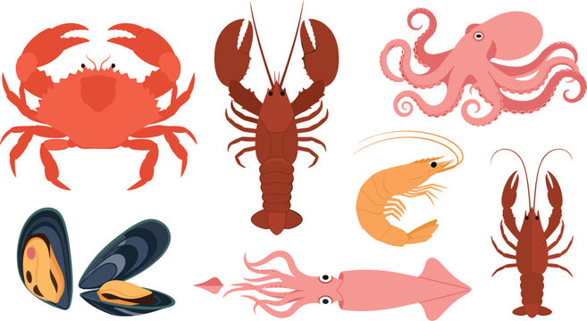 Colorful seafood cartoon set. Crab, lobster, shrimp, octopus, squid, mussel, and prawn. Fun marine animals, kids illustration, underwater vector, education, games, ocean creatures.