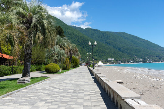 Sunny morning on the Black Sea coast. The resort town of Gagra, Abkhazia
