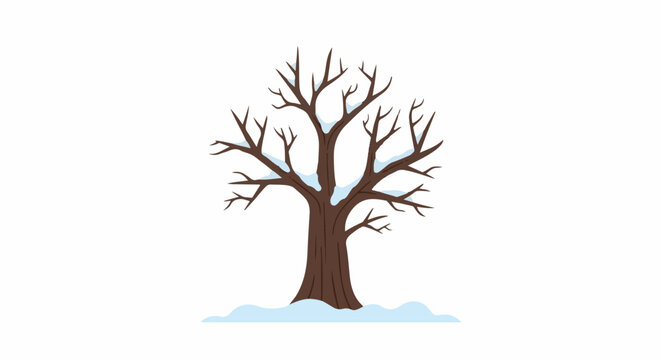 Bare tree with snow on branches and at base, white background