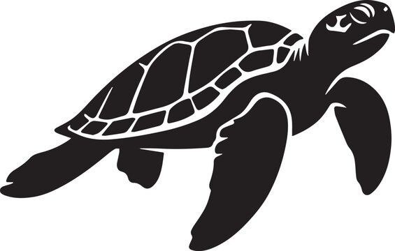 Cute turtle resting on the beach near the water