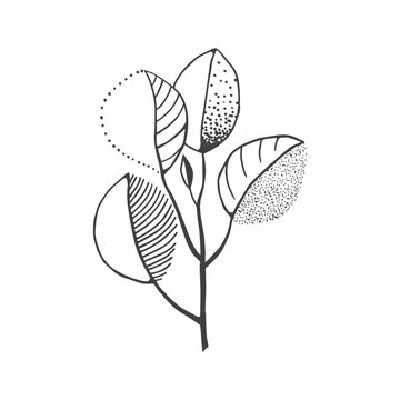 Hand drawn doodle silhouettes of flowers. Fantasy decorative leaf with various patterns. Hand drawn doodle illustration
