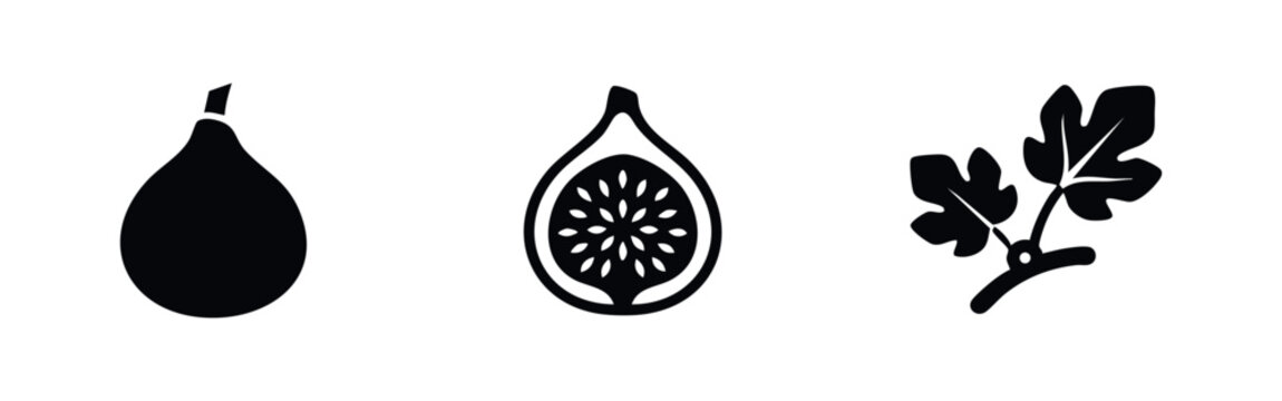 Fig Fruit Half Slice and Botanical Leaves Icon Set