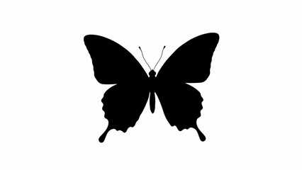 Butterfly silhouette, black insect icon, vector illustration, simple animal design © AKL