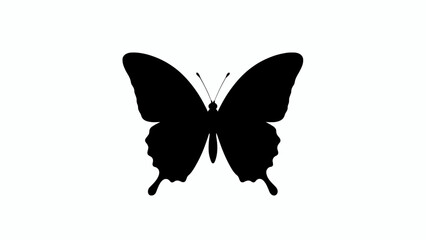 Black butterfly silhouette, insect icon, vector illustration, minimalist design © AKL