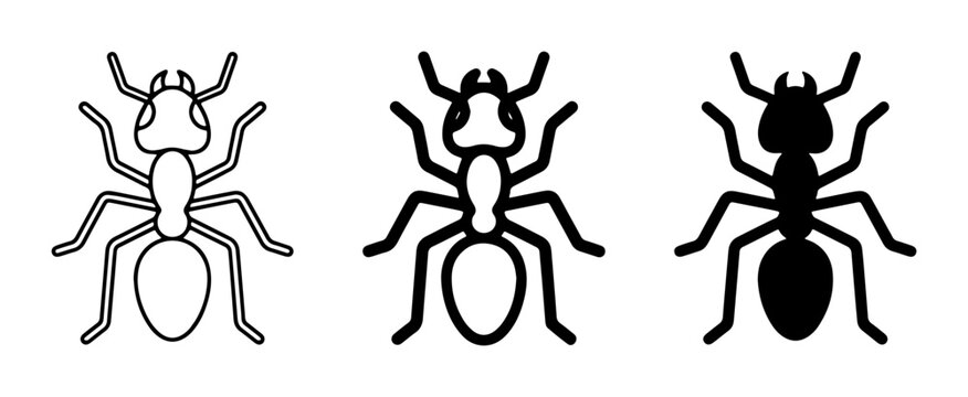 Ant Icons Set, Insect Vector Graphics, Simple Line Art and Silhouette Illustrations for Nature and Wildlife Concepts