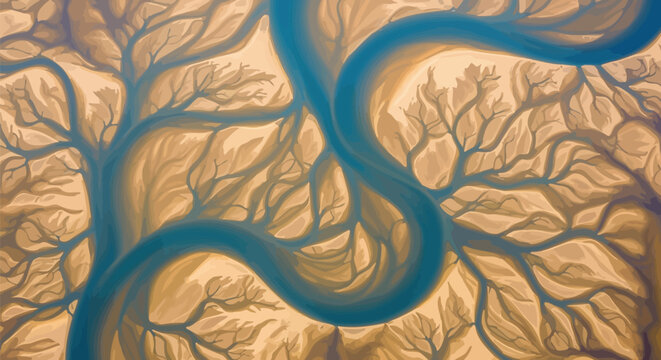 Aerial view of a winding river with tributaries flowing through a dry landscape