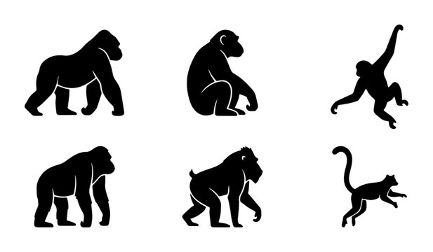 Primate Silhouettes Collection: Gorilla, Chimpanzee, Orangutan, Gibbon, Monkey Icons for Wildlife and Zoo Graphics