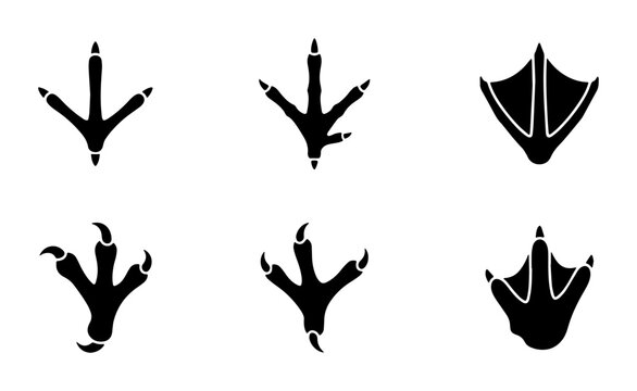 Bird Footprints Vector Icons Set, Animal Tracks Silhouette Collection, Wildlife Paw Prints Graphics, Nature Clipart Elements, Simple Black and White Design