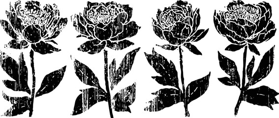Fototapeta premium vintage floral pattern with four black peony flowers and leaves on white background
