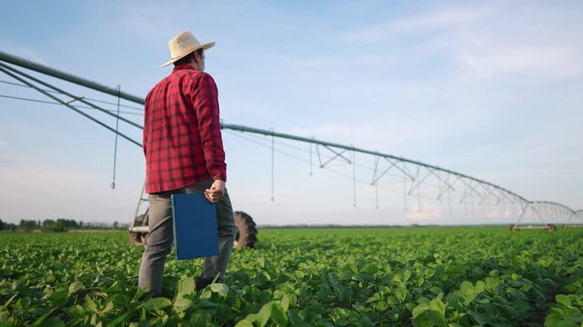 Farmer goes to the field to haest soybeans on his laptop. Farm green soy concept. Soybeans in a field of irrigation in agriculture. Farmer goes to the field of soybeans for lifestyle irrigation.