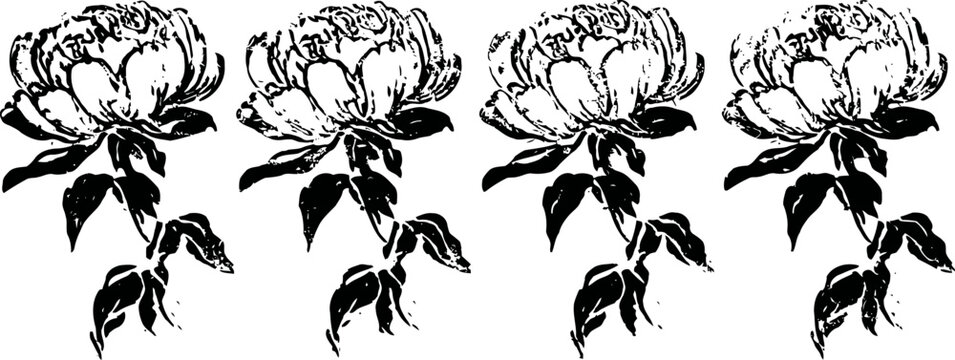 Vintage black ink floral illustrations set with blooming peony flowers and detailed leaves in retro