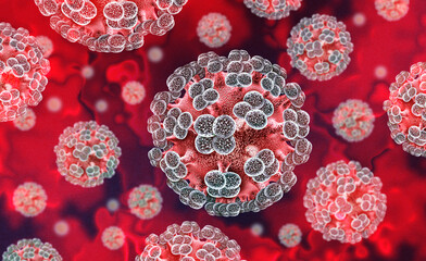 Fototapeta na wymiar Hantavirus virus or Hanta Virus outbreak as a is a zoonotic RNA virus transmitted by droppings of infected rodents causing severe respiratory and hemorrhagic diseases in humans as pneumonia as a dange