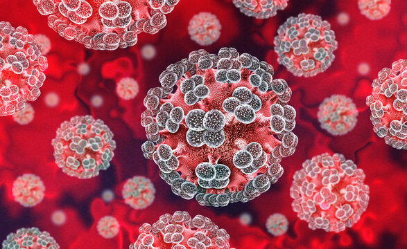 Hantavirus virus or Hanta Virus outbreak as a is a zoonotic RNA virus transmitted by droppings of infected rodents causing severe respiratory and hemorrhagic diseases in humans as pneumonia as a dange