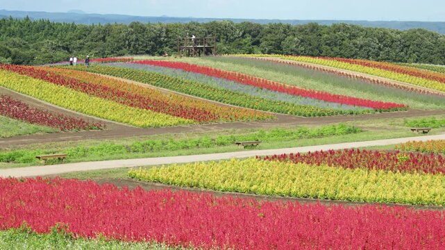 虹色ガーデン ふるるの丘 Rainbow Garden Fururu Hill Japan