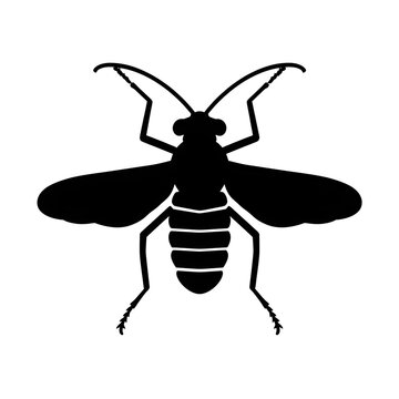vector illustration of wasp