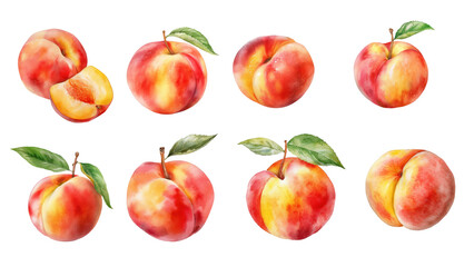 Vibrant watercolor illustration of ripe peaches with green leaves on a white background © epos studio art