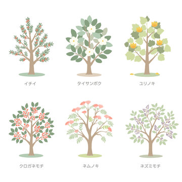 日本の樹木イラストセット