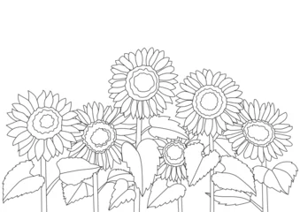 line sunflower design creative and pattern illustration vector © nantana