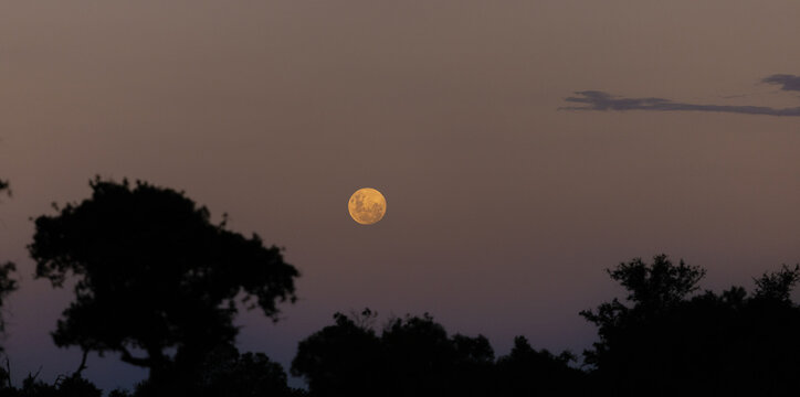 Full moon rising in twilight.