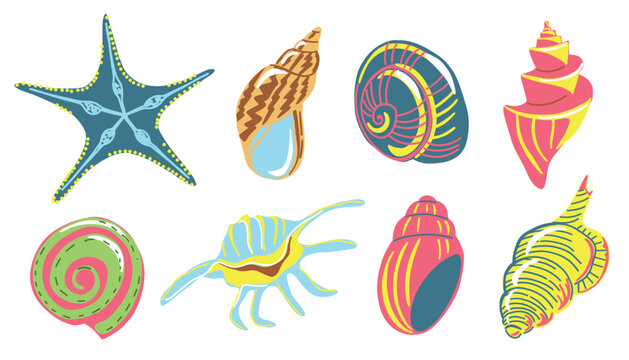 Colorful seashell collection with hand drawn ocean and starfish illustrations