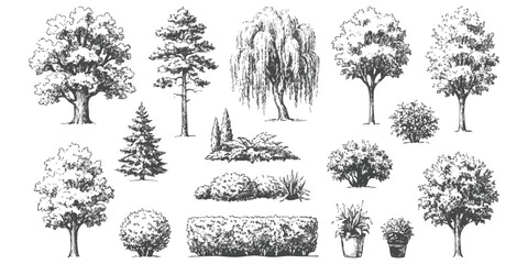 Set of hand drawn sketch trees and bushes for landscape design and garden architecture in black and white style © GraphixEra