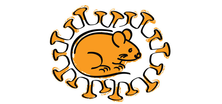 Hantavirus infections or hanta virus. Hantavirus, official name orthohantaviruses, are transmitted to humans through the urine, feces, and saliva of rats and mice. Hantaviruses. HPS symptoms.
