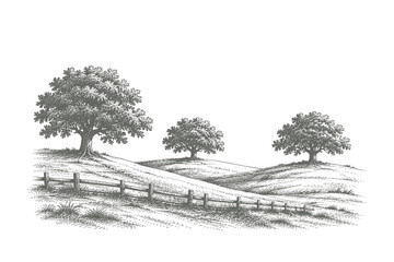 Classic woodblock style vector illustration of rolling hills landscape featuring scattered oak trees and a long wooden fence line © Chairul