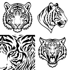 Fototapeta premium Sumatran Tiger Minimalist Face and Stripe Pattern Vector Set