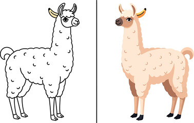 Fototapeta premium Llama illustration set line art and full color versions for children's designs and educational materials
