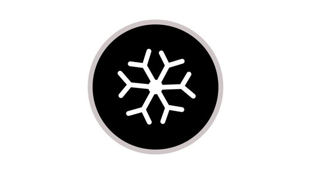 snowflake animated icon.