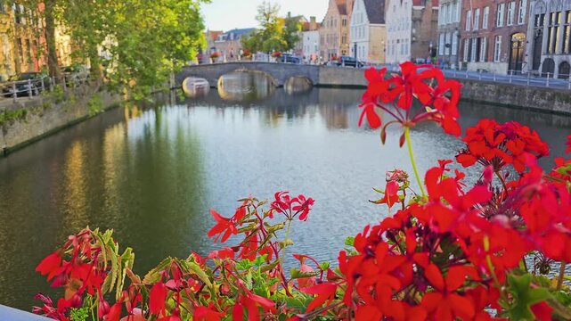 Bruges, Belgium waterfront with red geraniums beside a peaceful canal, old stone bridge, leafy trees, and medieval architecture glowing in warm evening sun, scenic city destination in summer.