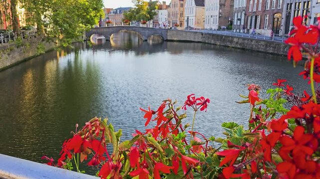 Bruges, Belgium riverside view with red blooms over still water, classic bridge, and Flemish buildings, peaceful canal scenery with reflections, greenery, and warm sunset glow.