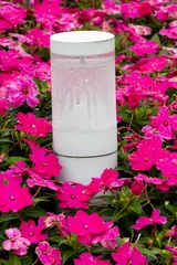 Fototapete Pink Modern garden pathway lamp surrounded by vibrant pink flowers with rain droplets in landscaped urban park  © Danila